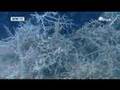 Corals in the Cold - DW TV Part 4