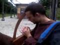 videos de Hazelnut plays the harp (12 Strings)