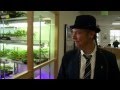 Weed Wars Promo