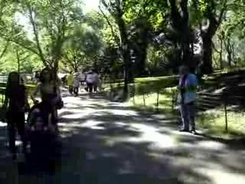 Central Park New York #2