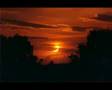 Natur-Medley