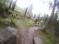 Coed-Y-Brenin