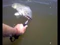 Video 12020001.3gp