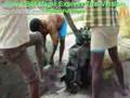 Cost effective, Energy efficient Environmental friendly CSEB