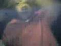 videos de DOODIE MAN!!!