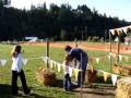 videos de Pumpkin slingshot @ Spooners-Bulls eye