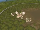Spore Creature Creator Video