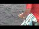 Fishing the Arrowhead: Whiteface Reservoir