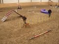 Diva agility varberg Diva agility varberg