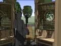 Pergola