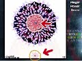 ニコニコより輸入