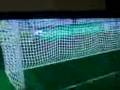FIFA 09 Nice back flip GOAL