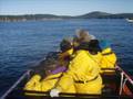Whale Watching Oct 23 2008 2pm Mike oceanexplorations.com