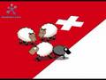 SVP schafe Schweiz ... eine andere Sicht der Dinge