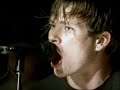 blink 182 tribute live concerts