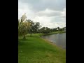 Vultures alligator two