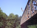 cecelsss saute du pont