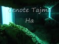 buceo en cenote Tajma Ha y Chikin Ha