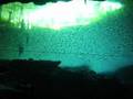 buceo en cenote Tajma Ha y Chikin Ha