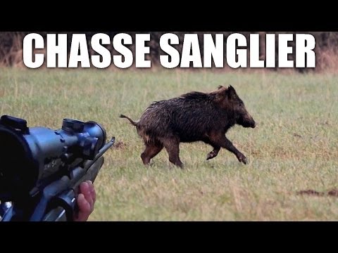 chasse - Bonjour à tous mes amis !! Voici le film de toute ma saison de chasse ! Vous pourrez y retrouver tous mes tir sur des sangliers, mes plus belles rencontres a...