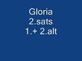 Gloria 2.sats 1.+2. alt.wmv