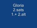 videos de Gloria 2.sats 1.+2. alt.wmv