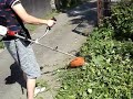 Mint-Garden - Kosa
