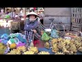 King Kin with Core Kites-Vietnam.mov