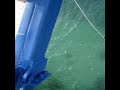 Bungee :0