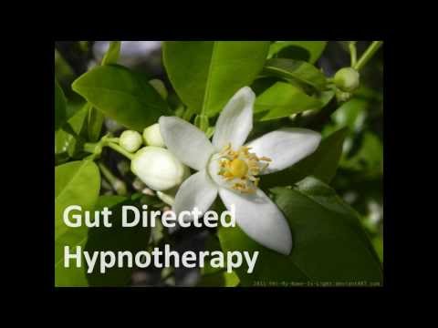 directed - A script adapted from The Manchester Approach for Irritable Bowel Syndrome (Wendy Gonsalkorale, The International journal of clinical and experimental hypnos...
