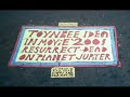 VIVIAN GIRLS EXPERIENCE - TOYNBEE IDEA IN MOVIE 2001...