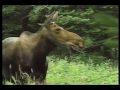 Cape Breton Highlands Park Cabot Trail (2)