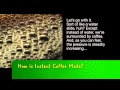 Bayer MSMS | How is instant coffee made?