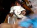 spoof of narasimha song-