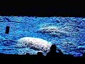 NINE INCH NAILS INTRO / WISH BUENOS AIRES 2008 PEPSI MUSIC