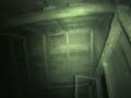 Night footage of bats flying in cabin Night footage of bats flying in cabin