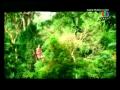 Flight of the Gibbon Pattaya
