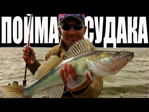 на какие приманки ловить судака на какие приманки ловить судака