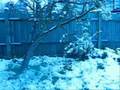 LET IT SNOW!!!