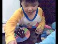 Xyrus Birthday