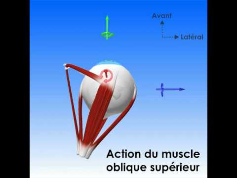 Image de prévisualisation YouTube