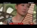 Chinese music: Pipa & medium Ruan 寒鴉戲水