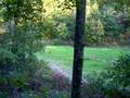 OCTOBER 4 2008 BOW KILL