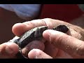 Campamento de proteccion de tortugas marinas. Parte 1