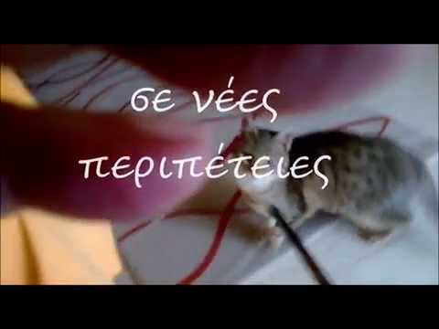 Melenia Syrizuzu - the healing cat ( Grexit και ξερή κροκέτα )