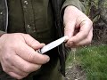 Fruitwise apple tree grafting guide, rind grafting
