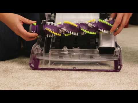 PowerLifter Pet / Momentum Brush Roll Maintenance