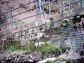 Burrs Weir Burrs Weir