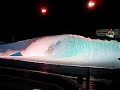 Wave Pool Wipeout Wave Pool Wipeout