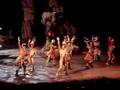 Disneyland ... spectacle le roi lion